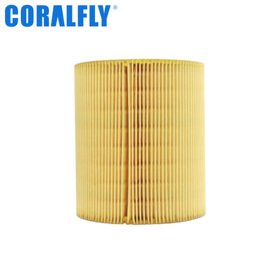 Compresores de Copco del atlas del filtro de aire de C1250 1613872000 CORALFLY